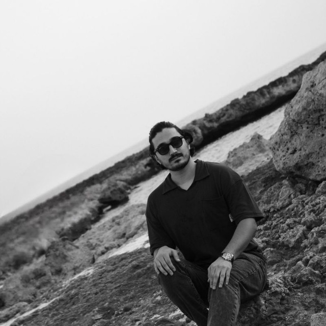 وحید شاهین